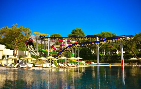 Beach & Pool